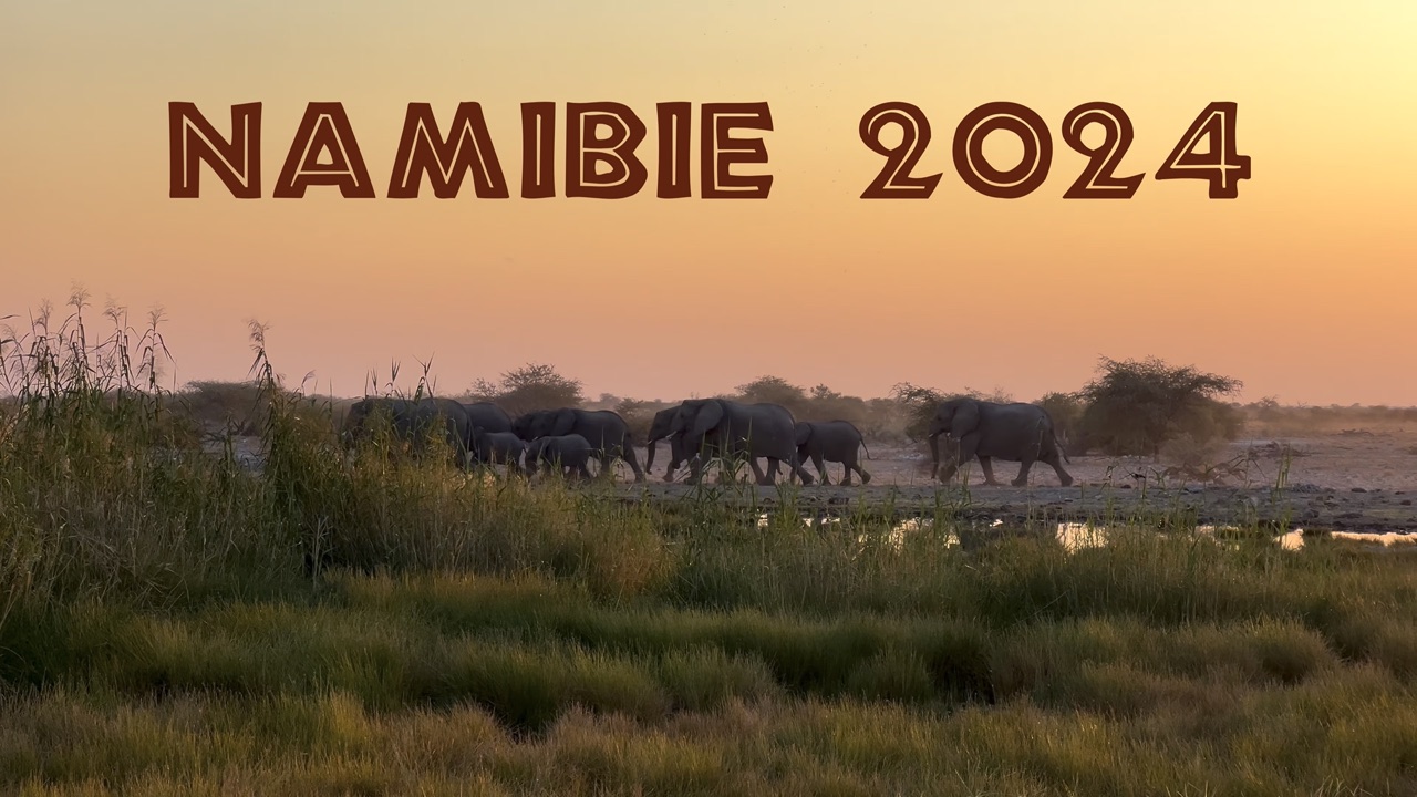 Vacances en Namibie 2024